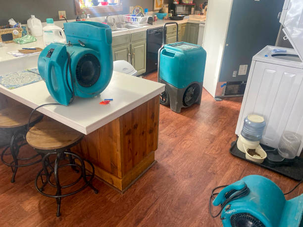 Best Water damage contractors near me  in Maury, NC