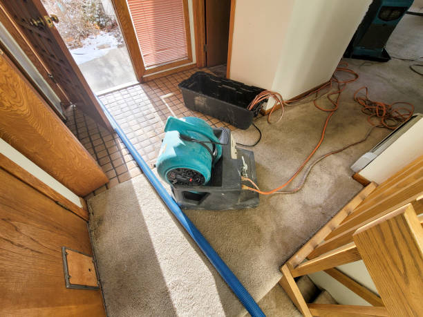 Best Carpet water damage restoration  in Maury, NC