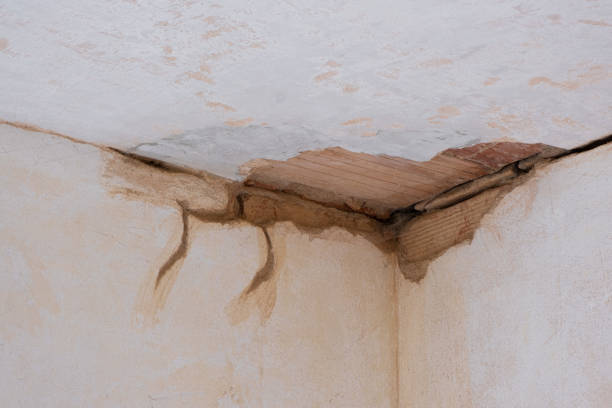 Best Flooded house restoration  in Maury, NC