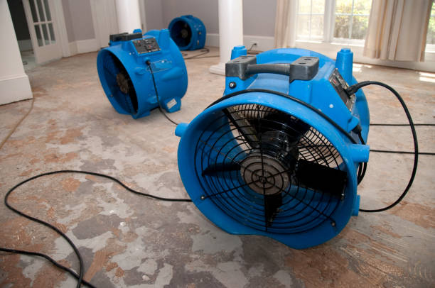 Best Professional water damage repair  in Maury, NC