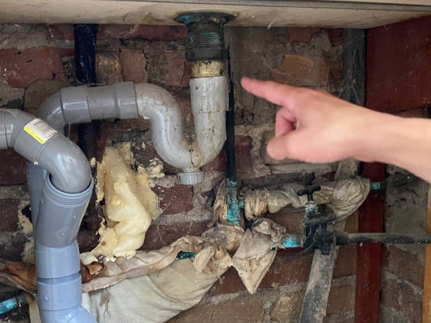 Best Local water damage restoration  in Maury, NC