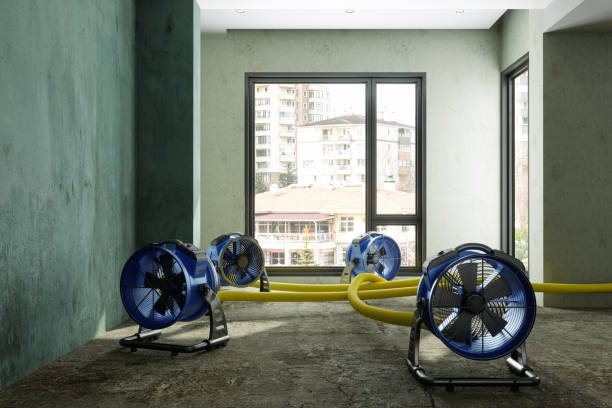 Best Flood restoration services  in Maury, NC